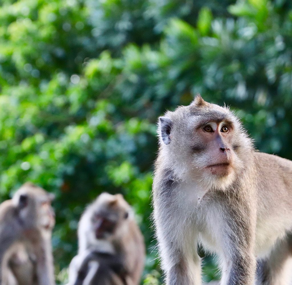 anders-jacobsen-622704-unsplash_s